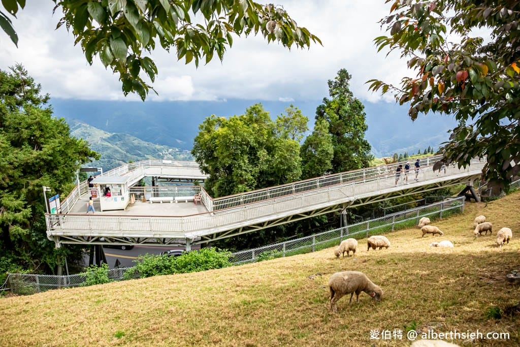 南投清境高空觀景步道（免排隊優惠門票？走多久？）