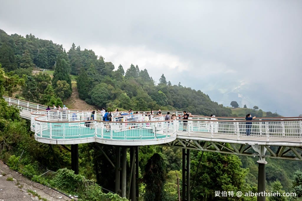 南投清境高空觀景步道（免排隊優惠門票？走多久？）