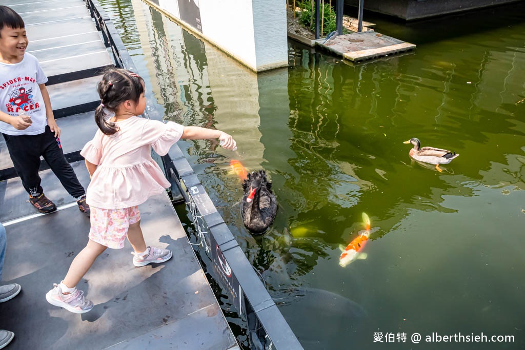 高雄天鍋麻辣鴛鴦鍋（碳佐旗下火鍋，泡泡雞白湯很厲害，鴨血好吃） @愛伯特