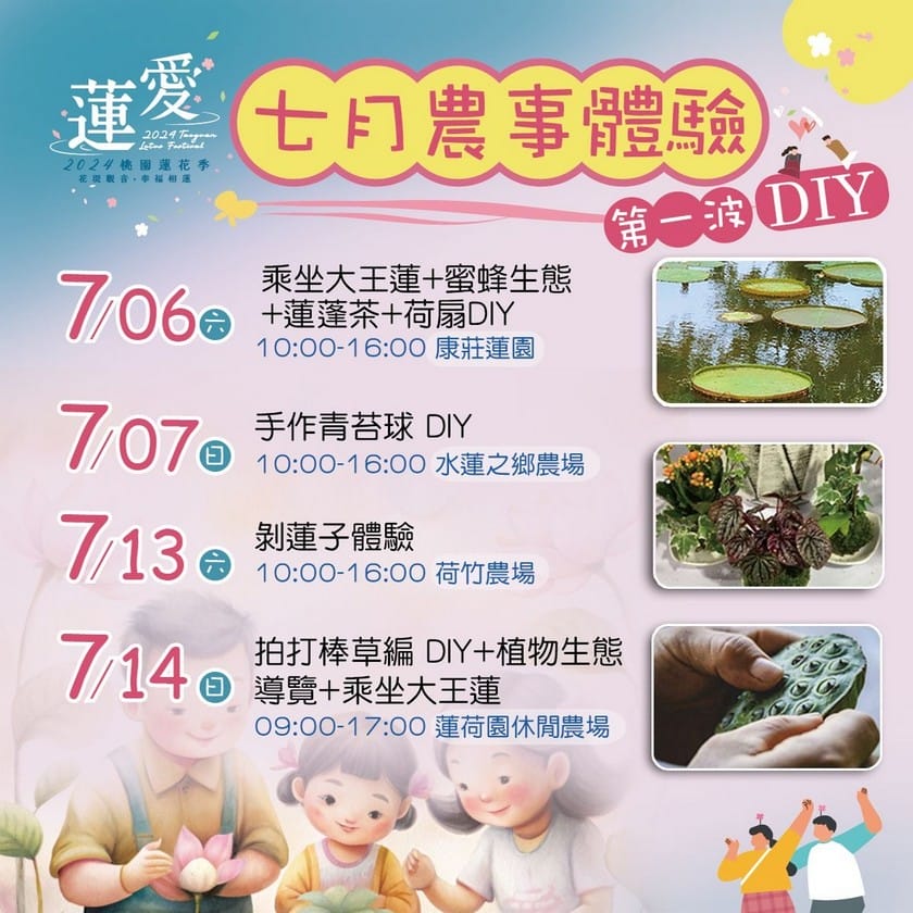 觀音桃園蓮花季2024（一日遊蓮荷園乘坐大王蓮/向陽農場賞向日葵）