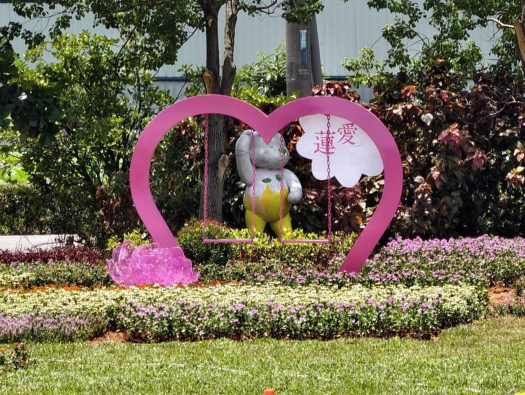 觀音桃園蓮花季2024（一日遊蓮荷園乘坐大王蓮/向陽農場賞向日葵）