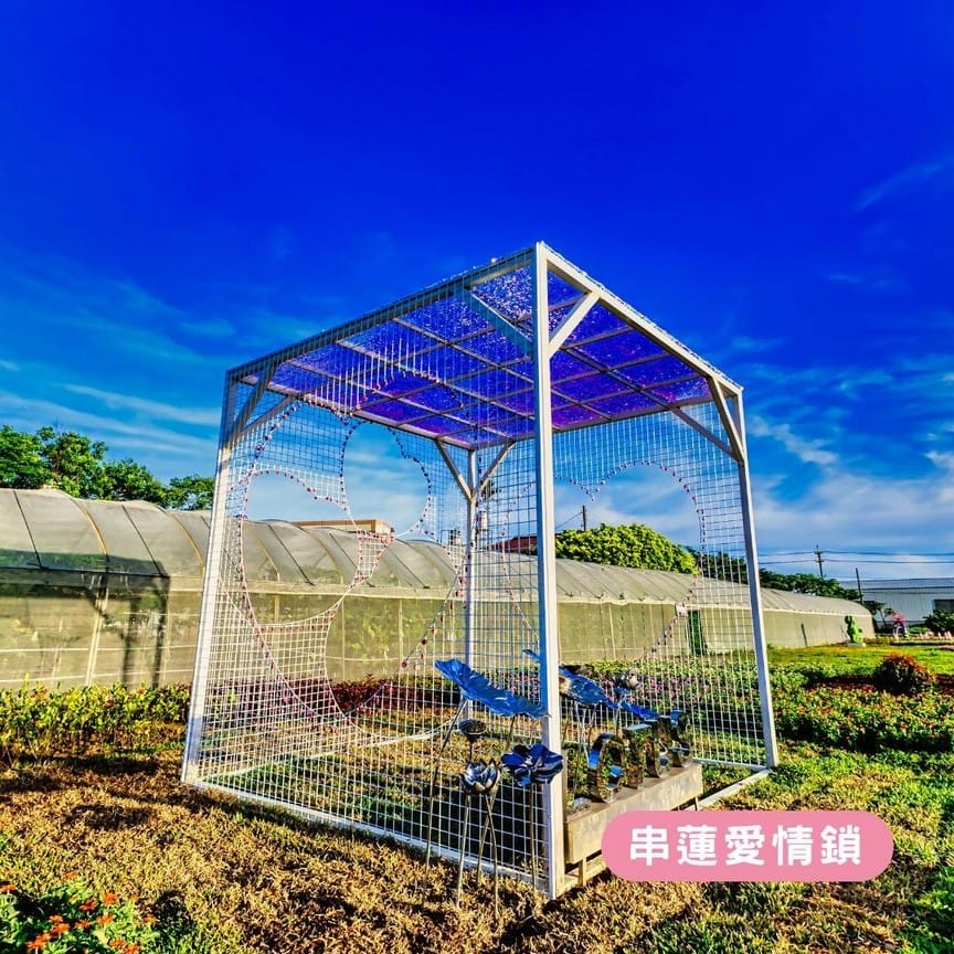 觀音桃園蓮花季2024（一日遊蓮荷園乘坐大王蓮/向陽農場賞向日葵）