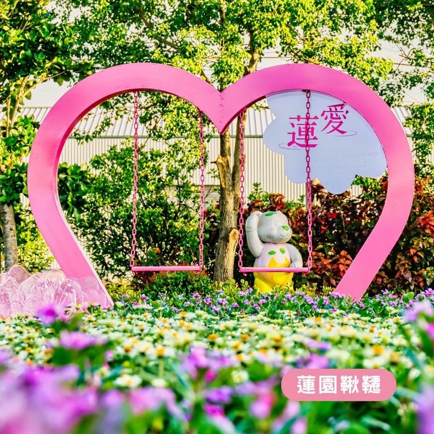 觀音桃園蓮花季2024（一日遊蓮荷園乘坐大王蓮/向陽農場賞向日葵）