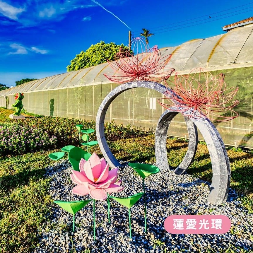 觀音桃園蓮花季2024（一日遊蓮荷園乘坐大王蓮/向陽農場賞向日葵）