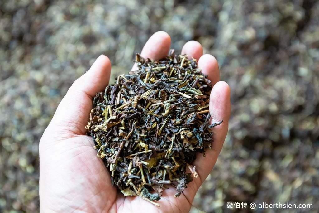 臺灣客家茶文化館一日遊｜客茶樓吃美食，認識茶葉，體驗小茶師，遊樂場