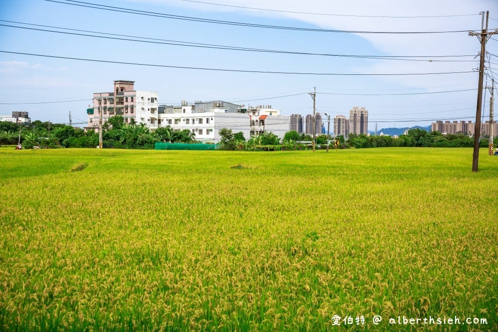 桃園八德霄裡石母娘娘浣衣池（小孩免費玩水戲水池，也是阿嬤洗衣地）