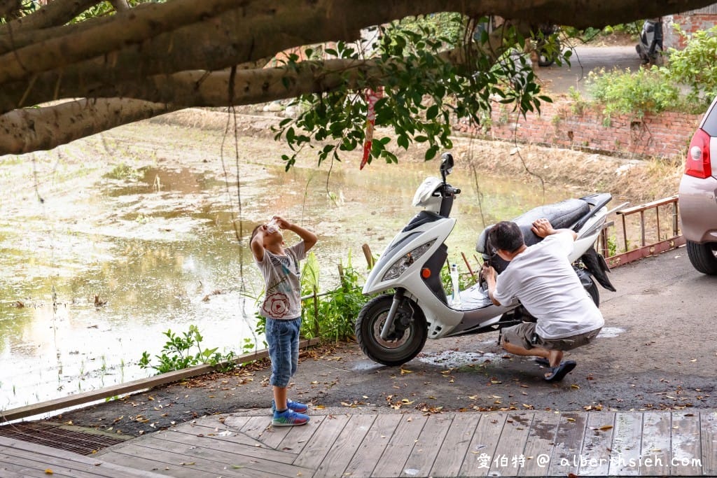 桃園八德霄裡石母娘娘浣衣池（小孩免費玩水戲水池，也是阿嬤洗衣地）