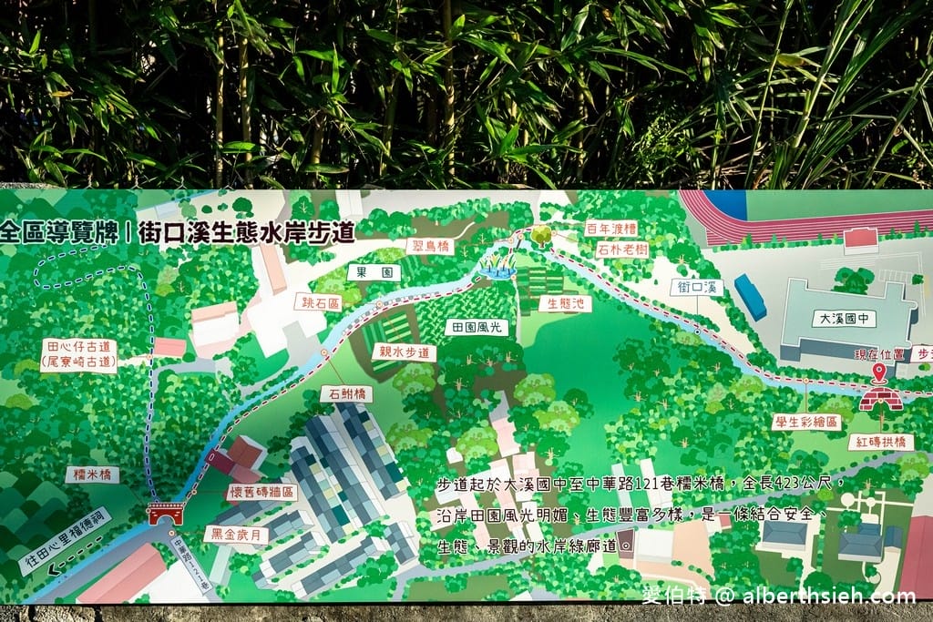 桃園大溪街口溪生態步道｜水岸綠廊休閒運動散步生態教育的好場所
