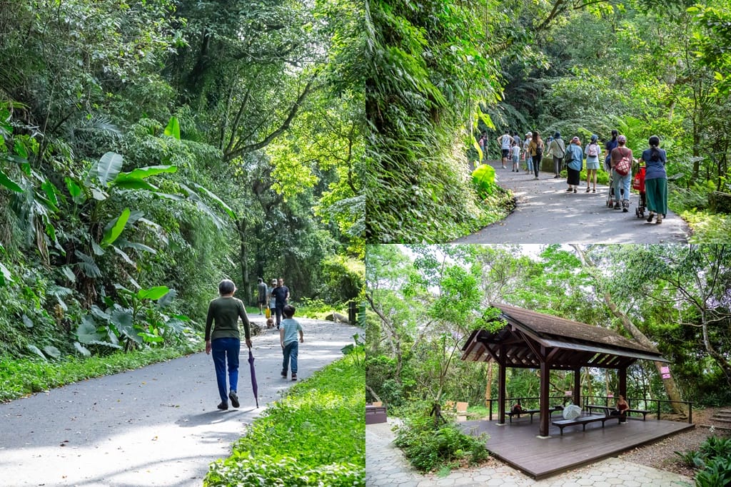 桃園大溪景點推薦｜舊百吉隧道，神隱少女風、全齡森林步道半日遊