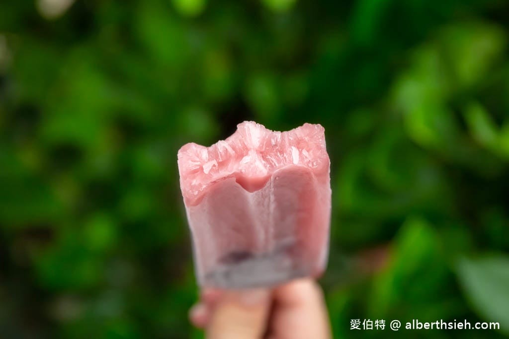 苗栗頭份冰棒．平陽冰店（真材實料四果冰超好吃，在地70年的古早味枝仔冰）