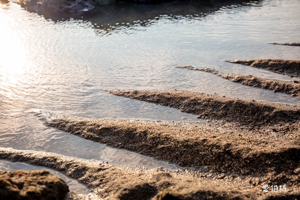 桃園觀新藻礁生態系野生動物保護區｜全台最大植物藻礁地形，絕美夕陽照 @愛伯特