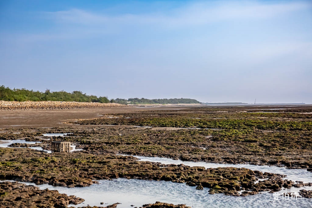 桃園觀新藻礁生態系野生動物保護區｜全台最大植物藻礁地形，絕美夕陽照 @愛伯特