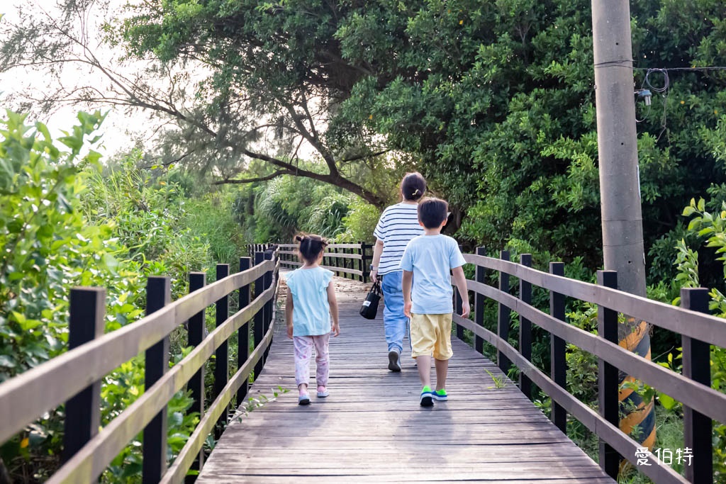 桃園觀新藻礁生態系野生動物保護區｜全台最大植物藻礁地形，絕美夕陽照 @愛伯特