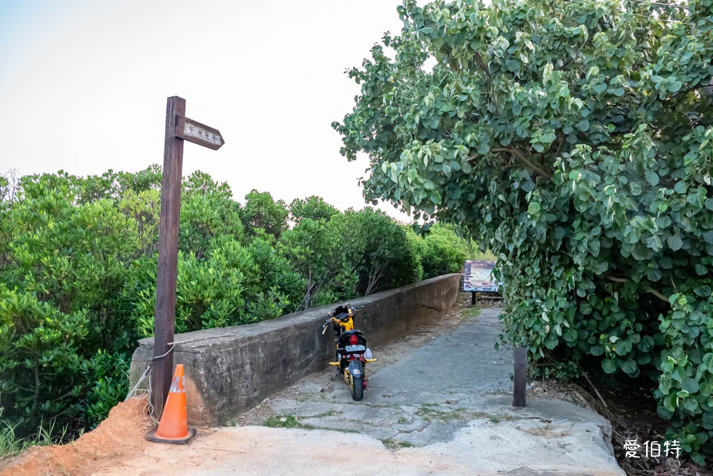 桃園觀新藻礁生態系野生動物保護區｜全台最大植物藻礁地形，絕美夕陽照 @愛伯特