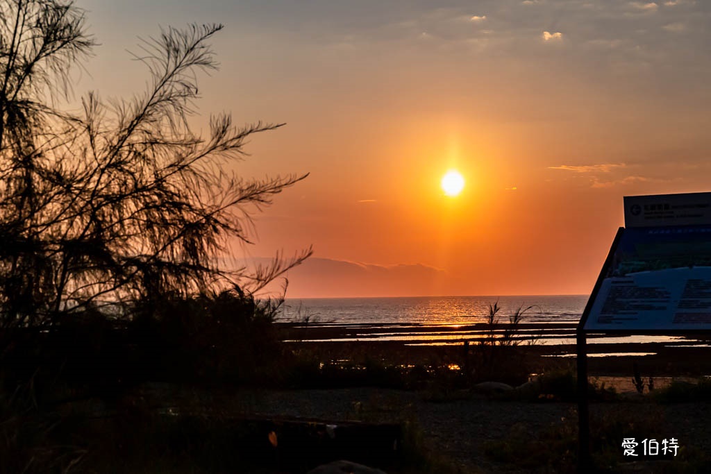 桃園觀新藻礁生態系野生動物保護區｜全台最大植物藻礁地形，絕美夕陽照 @愛伯特