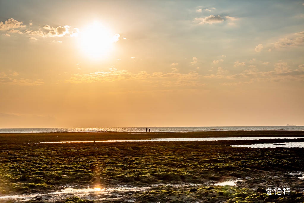 桃園觀新藻礁生態系野生動物保護區｜全台最大植物藻礁地形，絕美夕陽照 @愛伯特