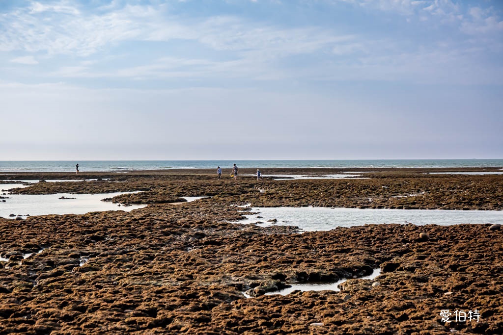 桃園觀新藻礁生態系野生動物保護區｜全台最大植物藻礁地形，絕美夕陽照 @愛伯特