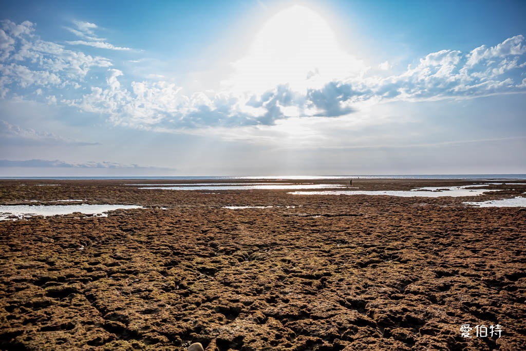 桃園觀新藻礁生態系野生動物保護區｜全台最大植物藻礁地形，絕美夕陽照 @愛伯特
