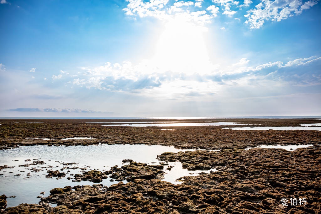 桃園觀新藻礁生態系野生動物保護區｜全台最大植物藻礁地形，絕美夕陽照 @愛伯特