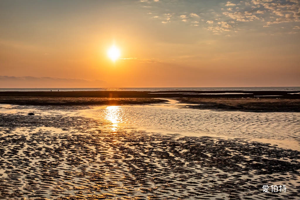 桃園採草莓親子一日遊｜草本誠食草莓X落雨松秘境，順遊漁港藻礁 @愛伯特
