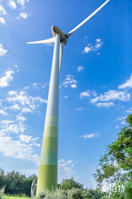 桃園觀新藻礁生態系野生動物保護區｜全台最大植物藻礁地形，絕美夕陽照 @愛伯特