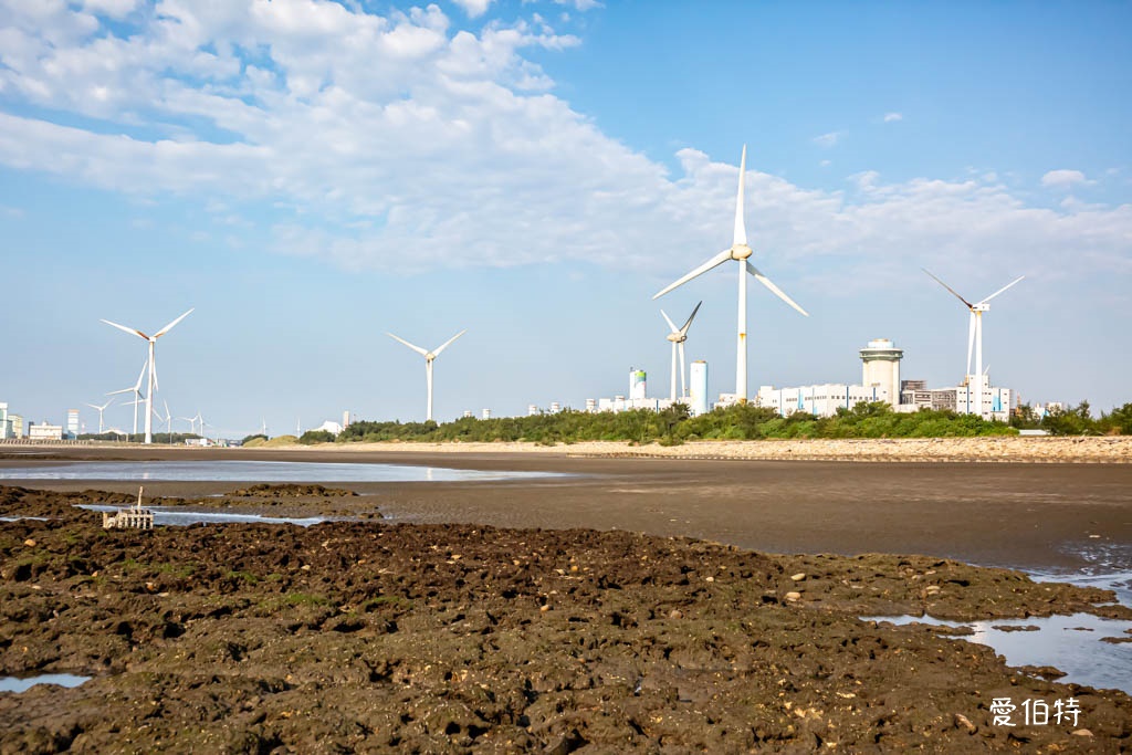 桃園觀新藻礁生態系野生動物保護區｜全台最大植物藻礁地形，絕美夕陽照 @愛伯特