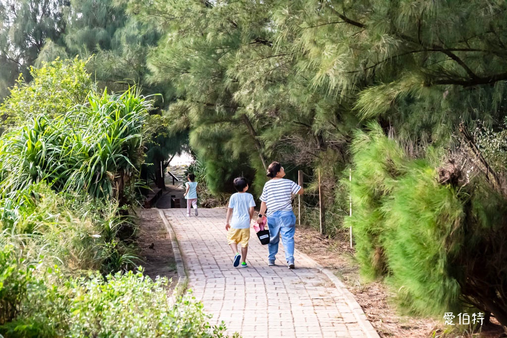 桃園觀新藻礁生態系野生動物保護區｜全台最大植物藻礁地形，絕美夕陽照 @愛伯特
