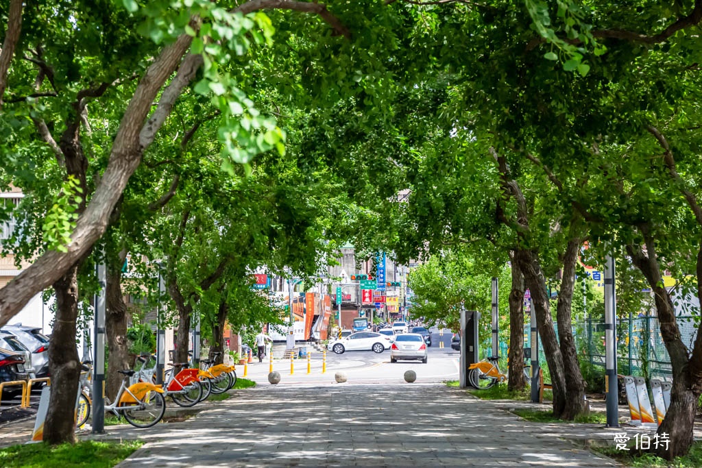 中壢老街溪河濱步道｜桃園超狂景點？年吸1053萬人次造訪 @愛伯特