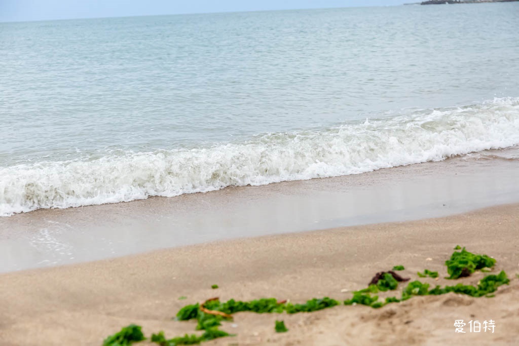 三芝淺水灣海濱公園(北海岸親子玩水玩沙免費景點) @愛伯特