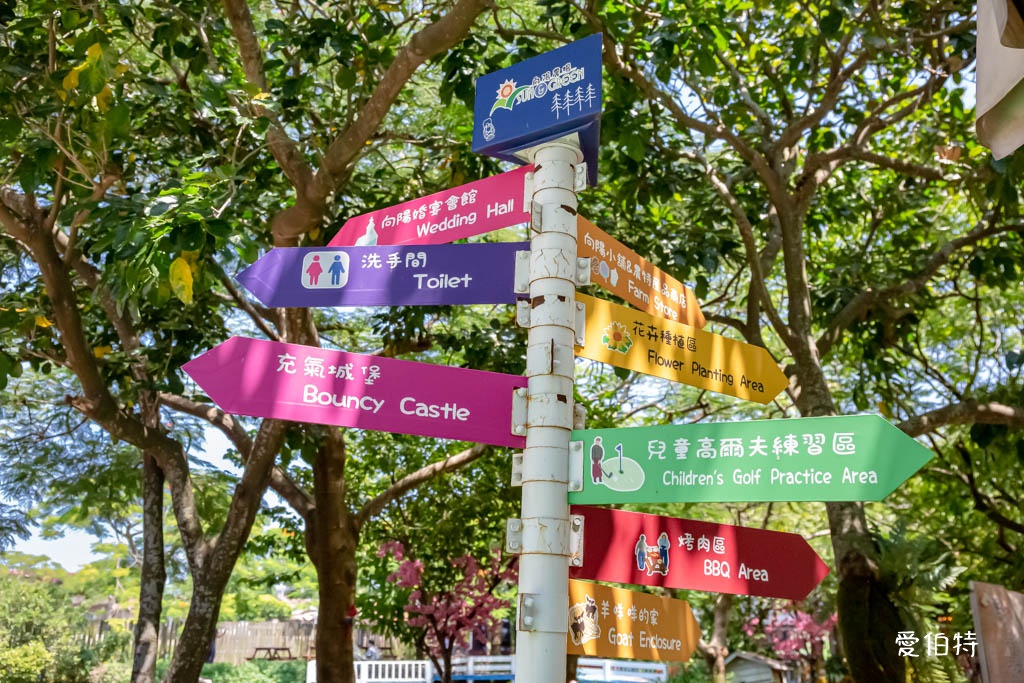 桃園親子景點推薦｜向陽農場，門票全額折抵，向日葵花海烤肉餵動物 @愛伯特