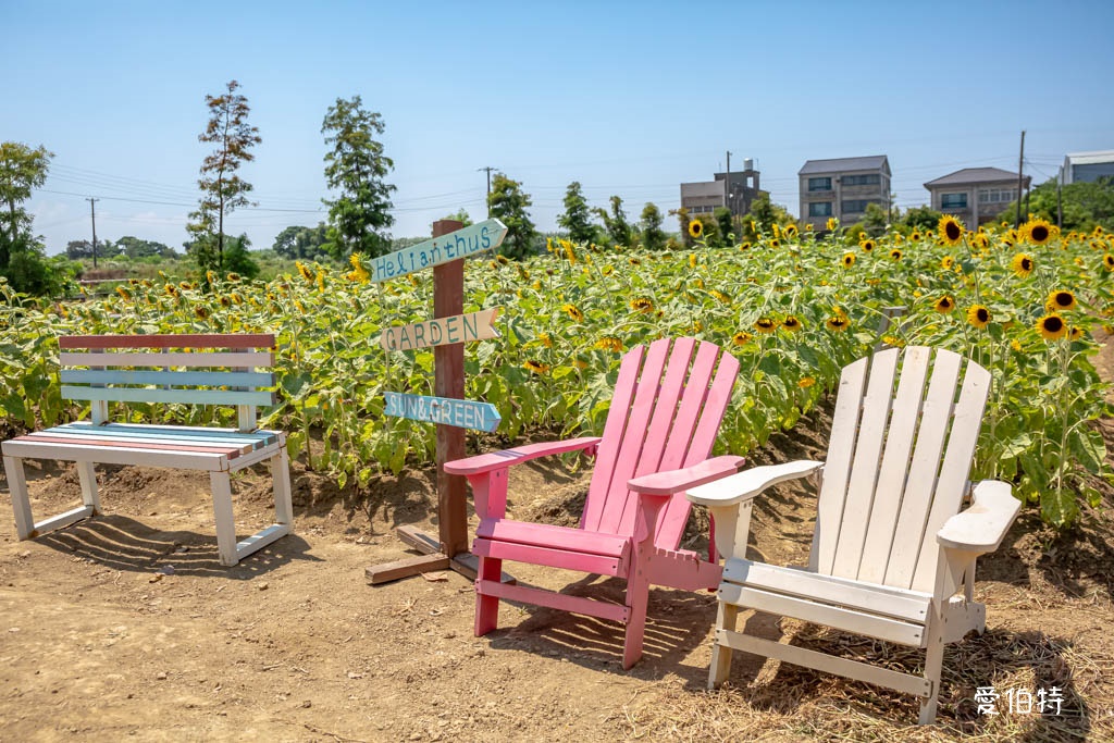 桃園親子景點推薦｜向陽農場，門票全額折抵，向日葵花海烤肉餵動物 @愛伯特