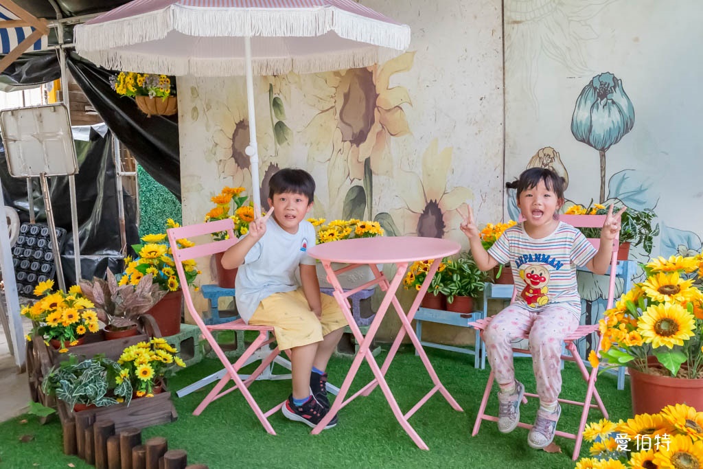桃園親子景點推薦｜向陽農場，門票全額折抵，向日葵花海烤肉餵動物 @愛伯特