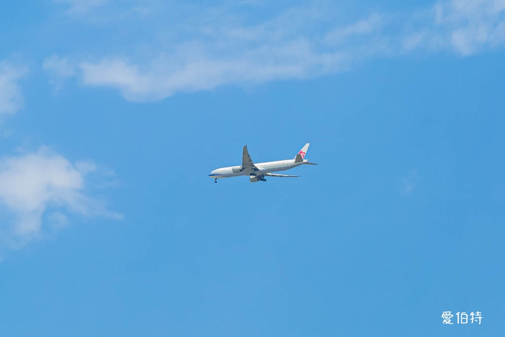 桃園親子景點推薦｜向陽農場，門票全額折抵，向日葵花海烤肉餵動物 @愛伯特