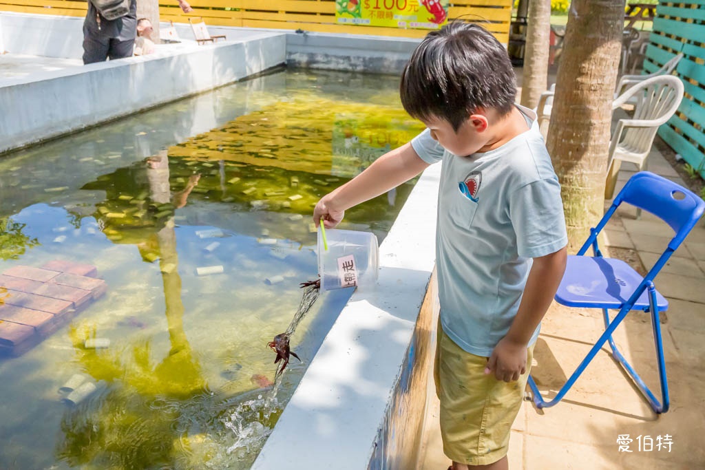 桃園親子景點推薦｜向陽農場，門票全額折抵，向日葵花海烤肉餵動物 @愛伯特