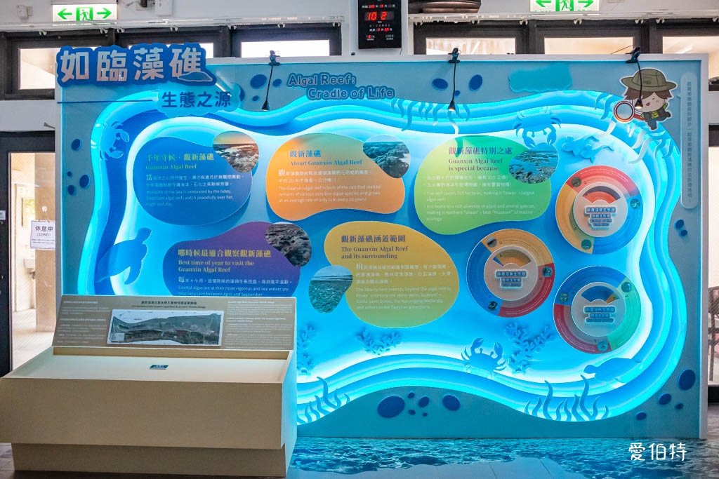 桃園觀新藻礁生態環境教室｜專屬洗腳池，洗手間，全台唯一藻礁教室 @愛伯特