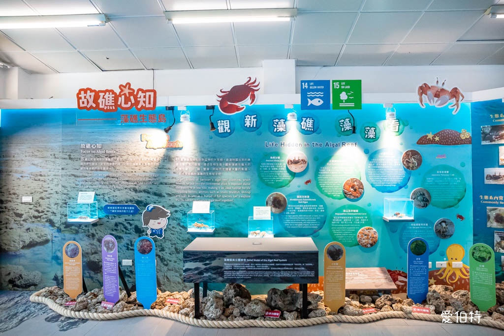 桃園觀新藻礁生態環境教室｜專屬洗腳池，洗手間，全台唯一藻礁教室 @愛伯特