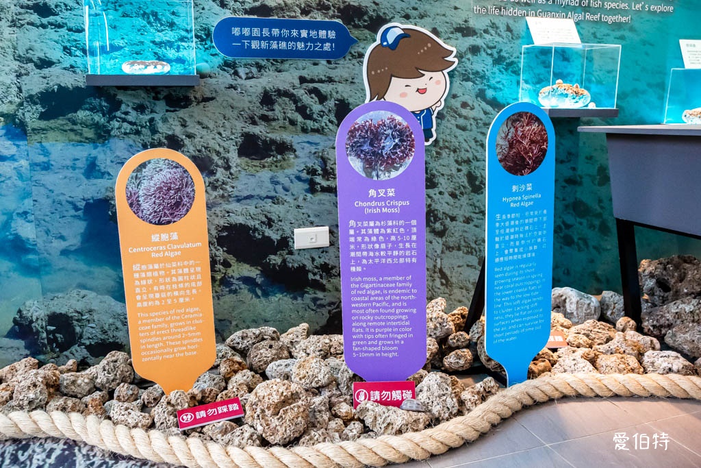 桃園觀新藻礁生態環境教室｜專屬洗腳池，洗手間，全台唯一藻礁教室 @愛伯特