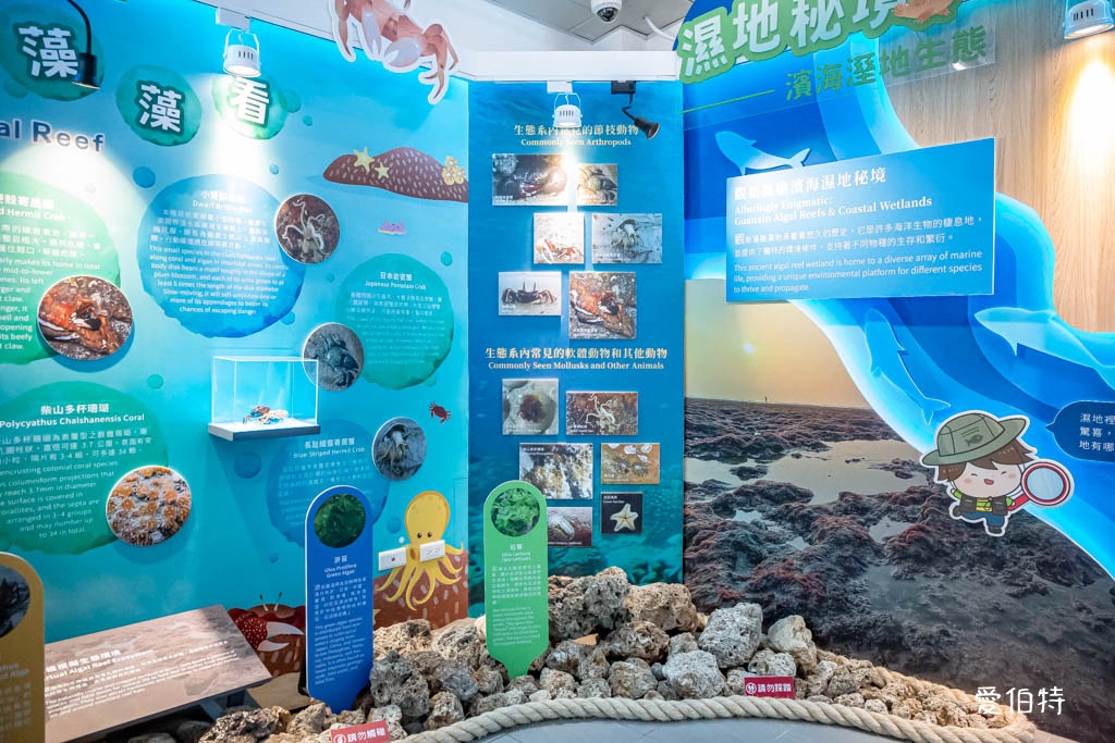 桃園觀新藻礁生態環境教室｜專屬洗腳池，洗手間，全台唯一藻礁教室 @愛伯特