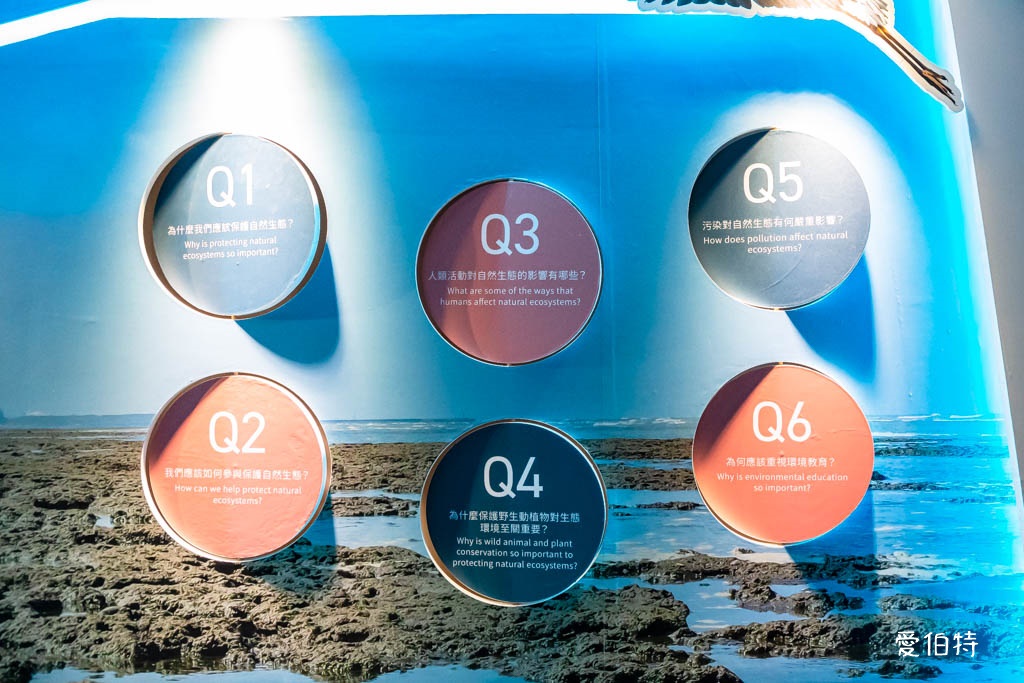 桃園觀新藻礁生態環境教室｜專屬洗腳池，洗手間，全台唯一藻礁教室 @愛伯特