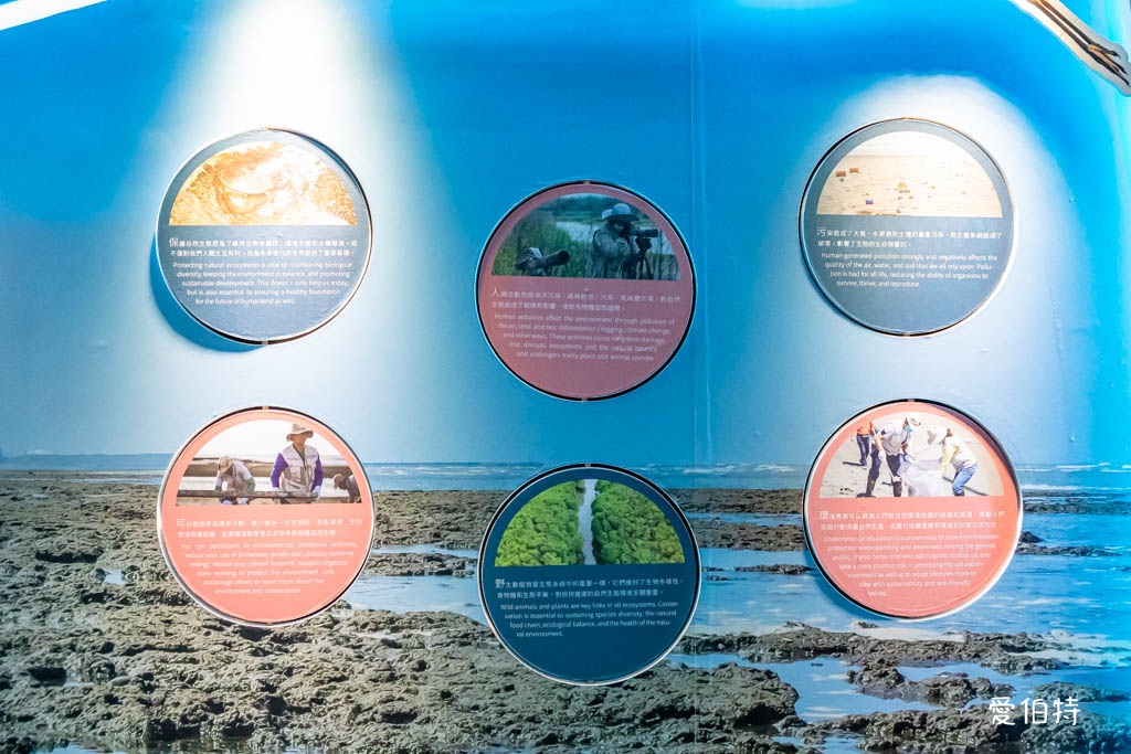 桃園觀新藻礁生態環境教室｜專屬洗腳池，洗手間，全台唯一藻礁教室 @愛伯特