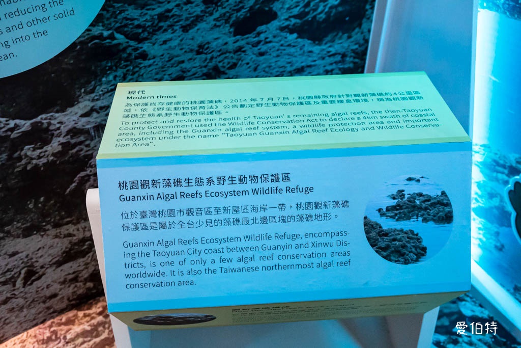 桃園觀新藻礁生態環境教室｜專屬洗腳池，洗手間，全台唯一藻礁教室 @愛伯特