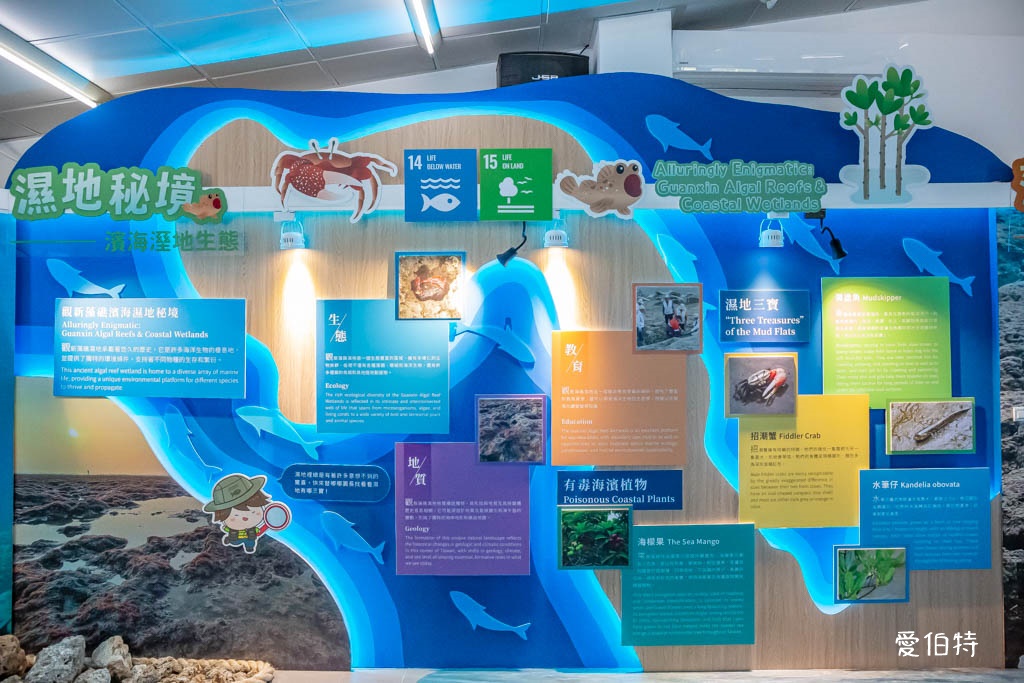 桃園觀新藻礁生態環境教室｜專屬洗腳池，洗手間，全台唯一藻礁教室 @愛伯特