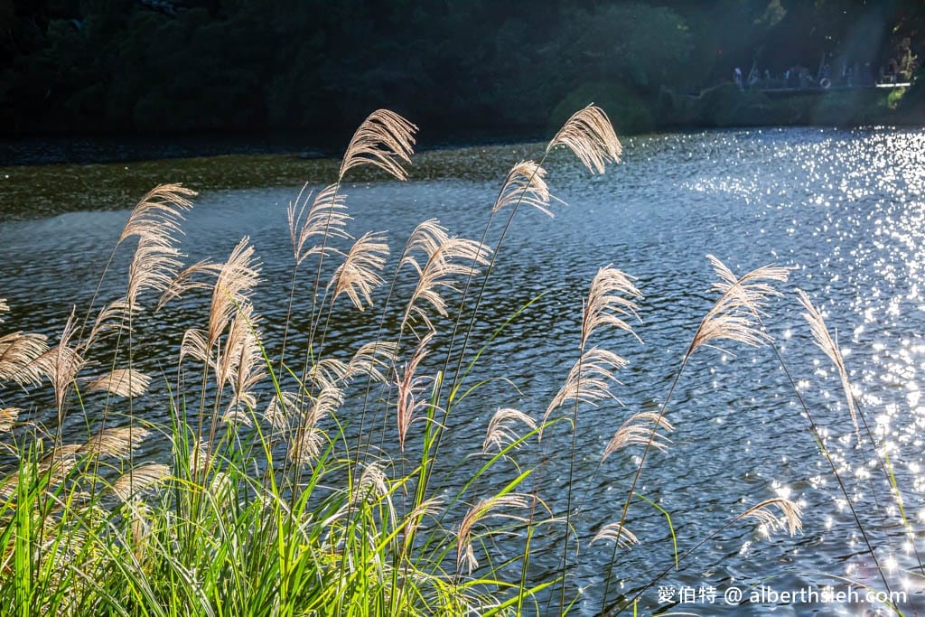 桃園大溪慈湖一日遊|慈湖陵寢看儀隊不NG操槍秀,步道踏青 - 第20張圖 桃園大溪慈湖一日遊|慈湖陵寢看儀隊不NG操槍秀,步道踏青