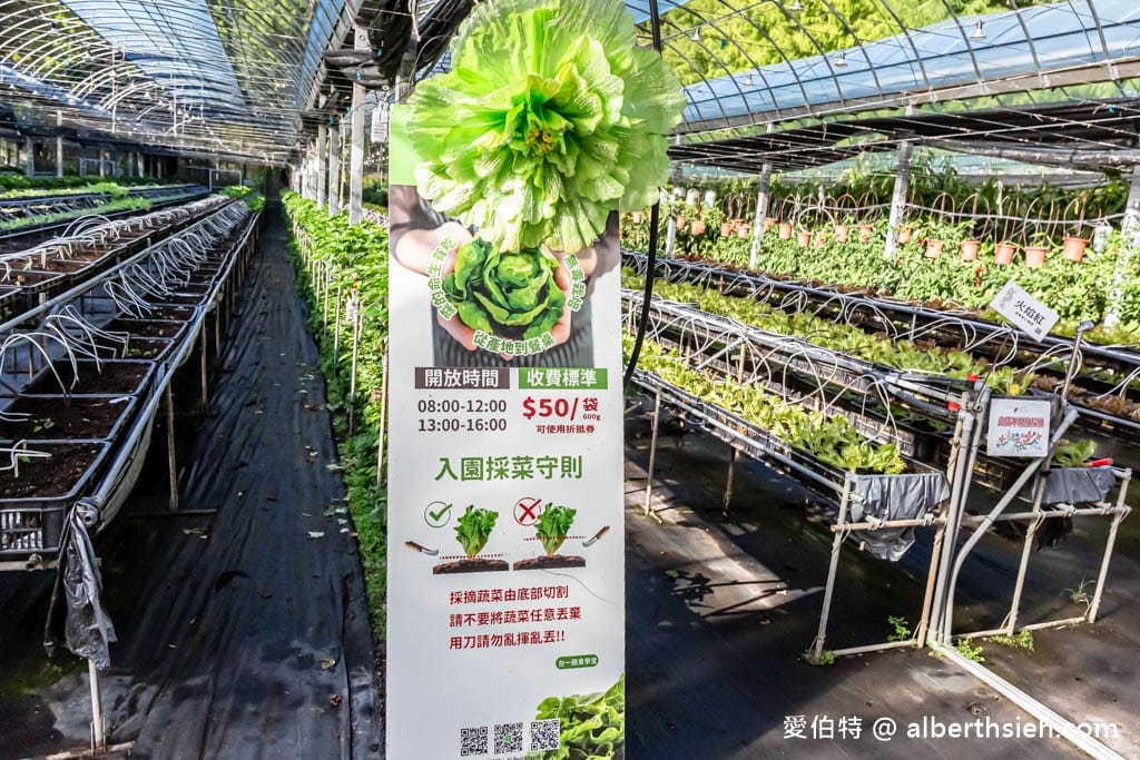 南投台一生態休閒農場(楓樺台一渡假村)（秘境落羽松，採草莓，湯池住宿）