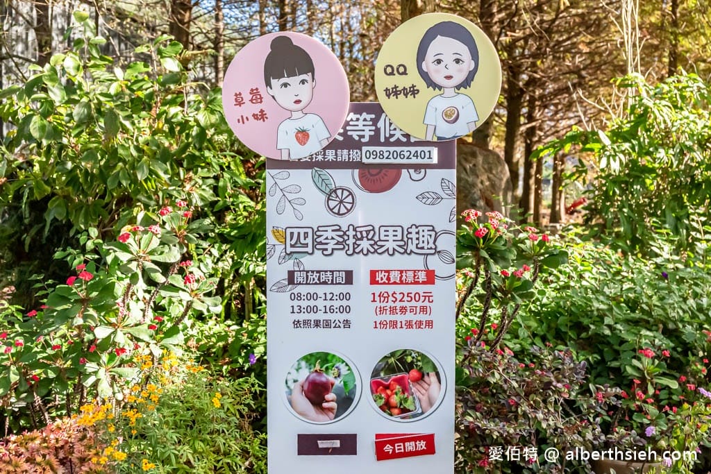 南投台一生態休閒農場(楓樺台一渡假村)（秘境落羽松，採草莓，湯池住宿）