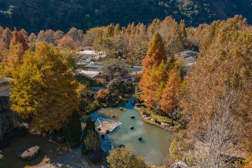 南投台一生態休閒農場(楓樺台一渡假村)（秘境落羽松，採草莓，湯池住宿）