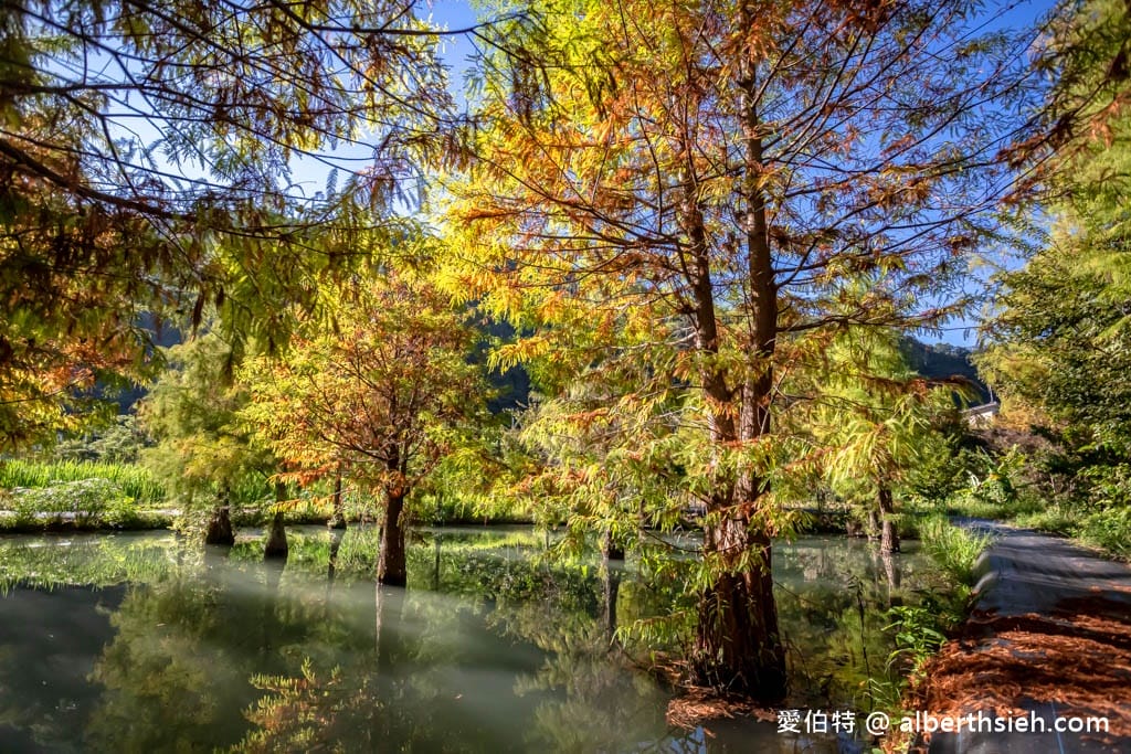 南投台一生態休閒農場(楓樺台一渡假村)（秘境落羽松，採草莓，湯池住宿）