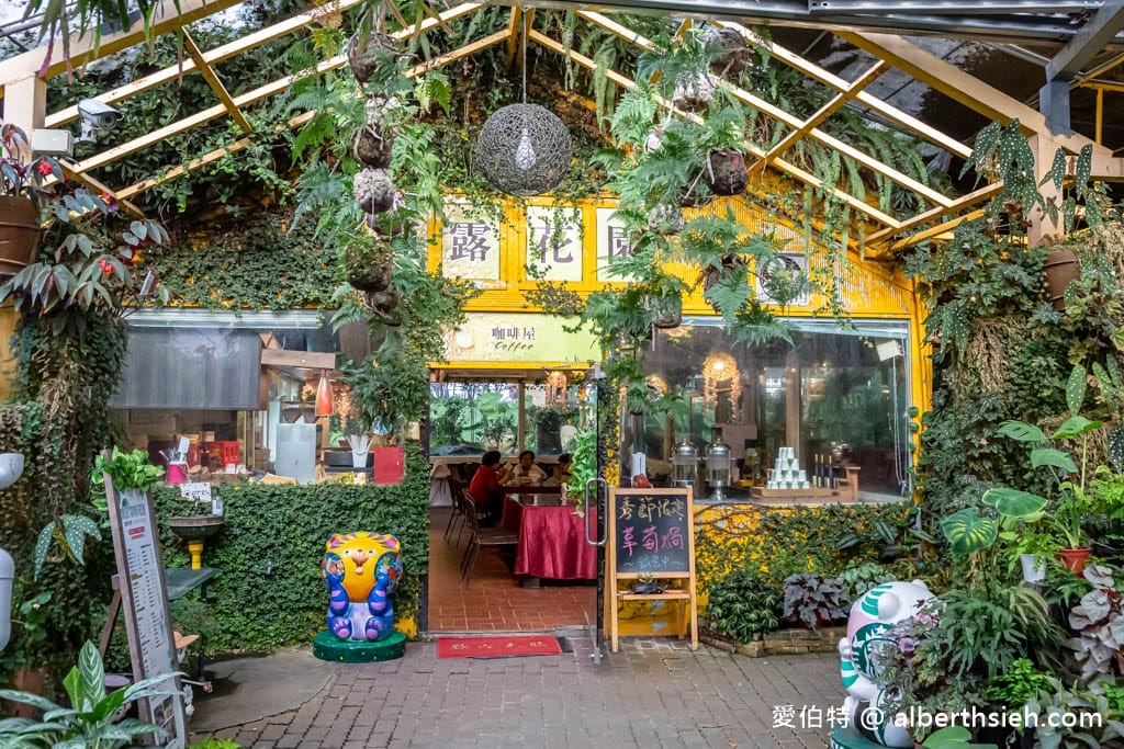 南投台一生態休閒農場(楓樺台一渡假村)（秘境落羽松，採草莓，湯池住宿）