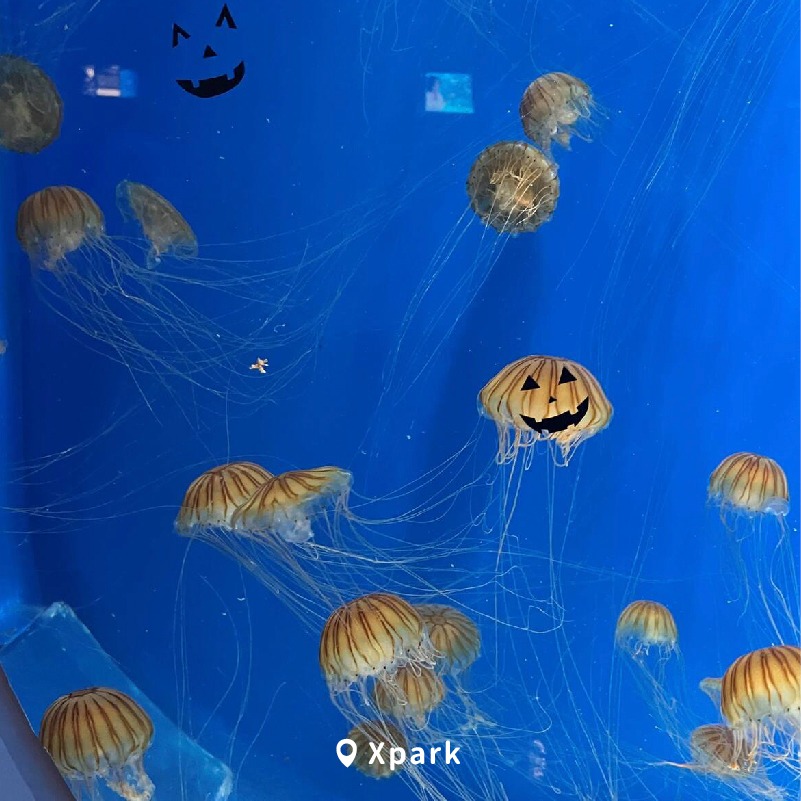 桃園萬聖城2024（藝文廣場萬聖節演唱會、變裝競賽、學院風設計裝置藝術） @愛伯特