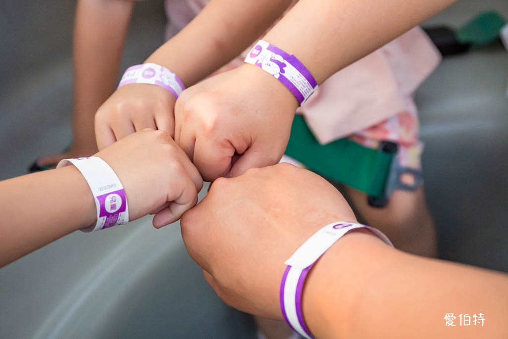 高雄鈴鹿賽道樂園攻略｜票價349元一日無限暢遊券必買 @愛伯特